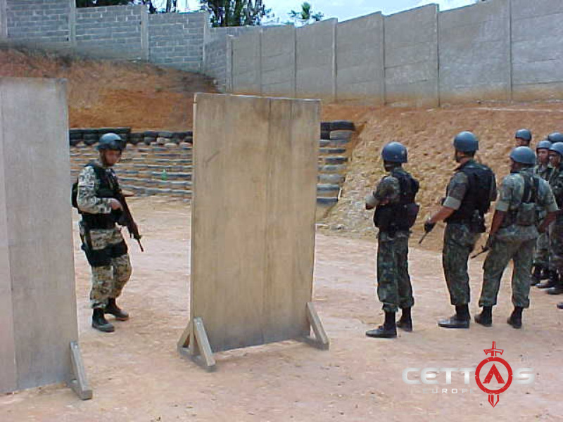 Forcea Aerea / Brasil 2003